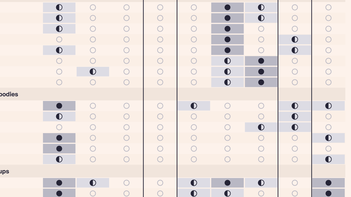 A sample of the capability exposure map - the 49 creative and marketing disciplines classified across multiple fields, shown deliberately abstracted with labels and underlying data withheld